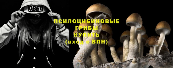 не бодяженный Арсеньев