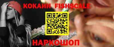 стаф Гай