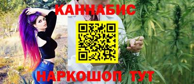 стаф Гай