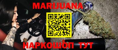 стаф Гай