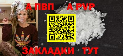 стаф Гай