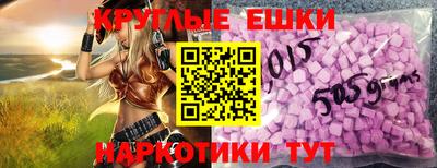 стаф Гай