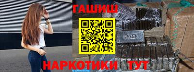 стаф Гай